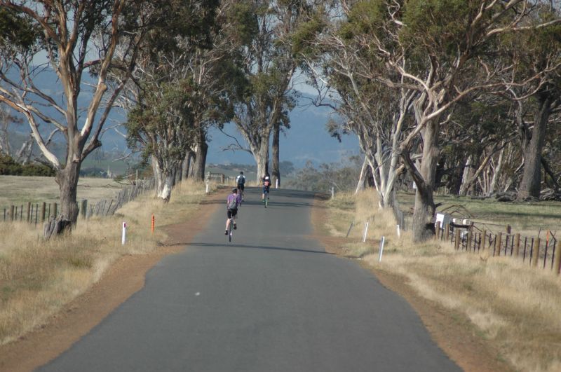 dsc_0776dsunicyclistsaustroad Into the distance ...