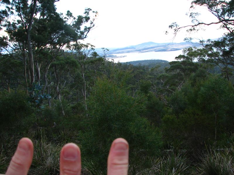 Three thumbs