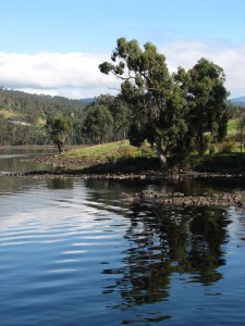 Reflections on the Huon River
