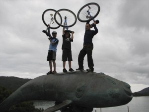 onwhale onwhale
